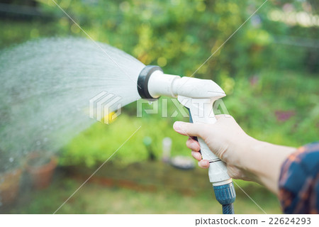 Watering 22624293
