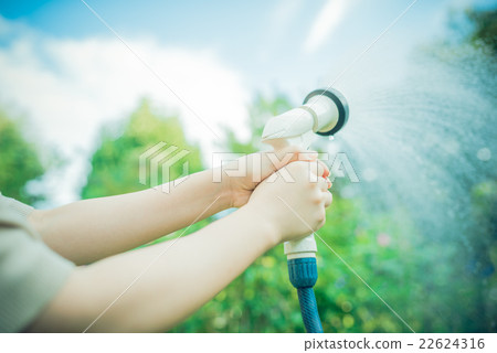 Watering 22624316