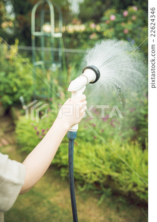 Watering Watering 22624346