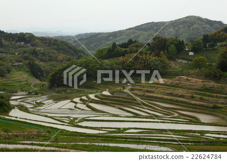 Daeguwa West Rice Terrace 2016050333 22624784
