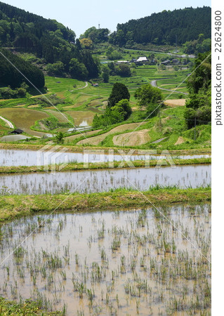 Daeguwa West Rice Terrace 2016051446 Daeguwa West Rice Terrace 2016051446 22624800