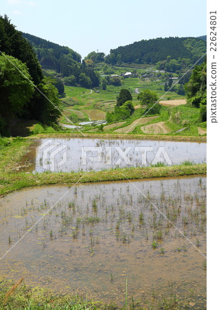 Daeguwa West Rice Terrace 2016051447 Daeguwa West Rice Terrace 2016051447 22624801