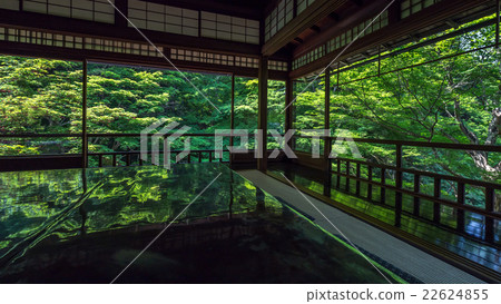 Rurikoin surrounded by greenery 22624855