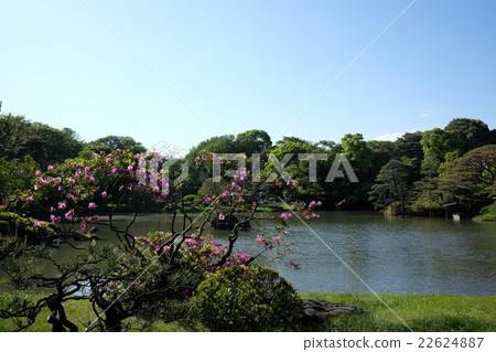 Rikugien Rikugien 22624887