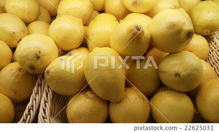 Freshly picked lemons in basket Freshly picked lemons in basket 22625031