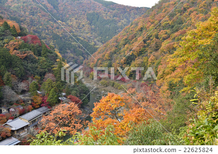 Arashiyama Sagano Hosugi Valley Arashiyama Sagano Hosugi Valley 22625824