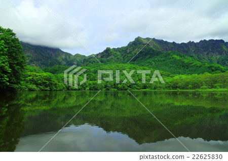 Togaku of early summer 22625830