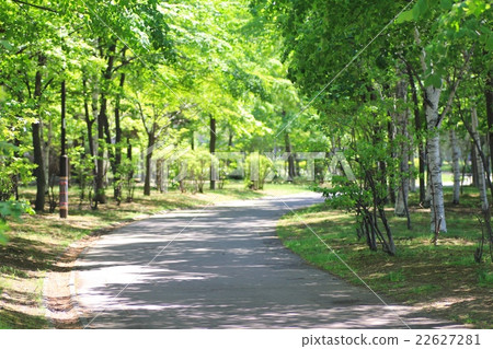 A refreshing spring park walkway Spring park 22627281