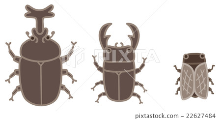 Insect summer Insect summer 22627484