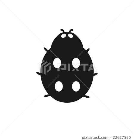 Insect Ladybird Isolated on White Background Insect Ladybird Isolated on White Background 22627550