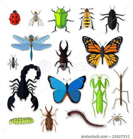 Set of Various Insects Design Flat 22627551