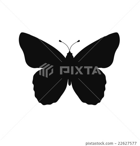 Insects Butterflies Isolated on White Background Insects Butterflies Isolated on White Background 22627577