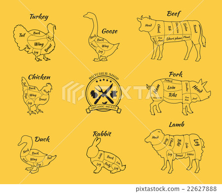 Set Schematic Vew of Animals for Butcher Shop 22627888