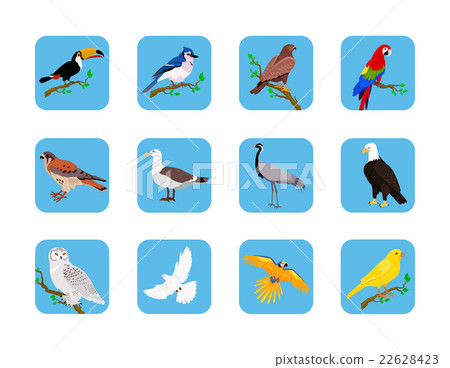 Collection of Various Birds Flat Design Collection of Various Birds Flat Design 22628423