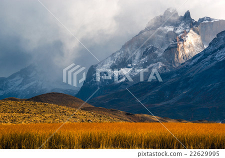 The Torres del Paine National Park 22629995
