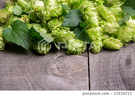 Fresh green hops on a wooden table 22630253