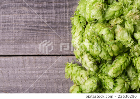 Fresh green hops on a wooden table Fresh green hops on a wooden table 22630280