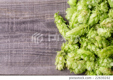 Fresh green hops on a wooden table 22630282