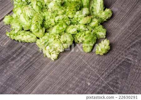 Fresh green hops on a wooden table Fresh green hops on a wooden table 22630291