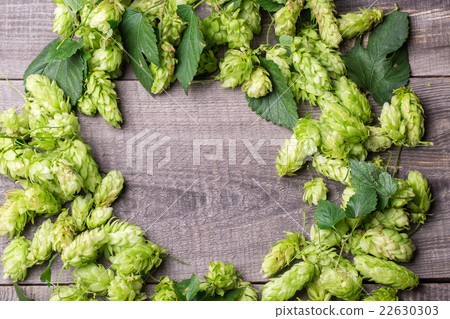 Fresh green hops on a wooden table 22630303