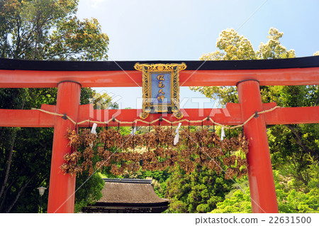 松尾大成的鳥居 22631500