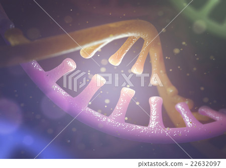 DNA and RNA molecules DNA and RNA molecules 22632097