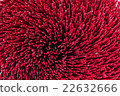 group of joss stick in temple 22632666