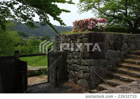 From Shinoyama Castle Site 22632710