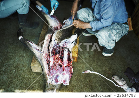 Hunting image 22634798