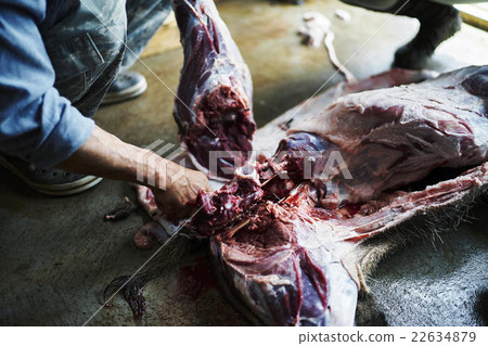 狩獵形象 22634879