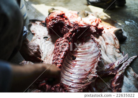 Hunting image 22635022