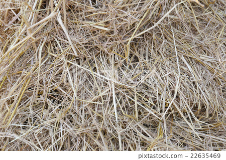 stack straw or haystack. 22635469