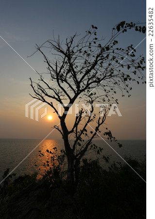 tree of silhouette style on sunset. tree of silhouette style on sunset. 22635482