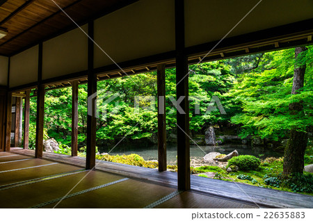 Kyoto Rensha Temple 22635883