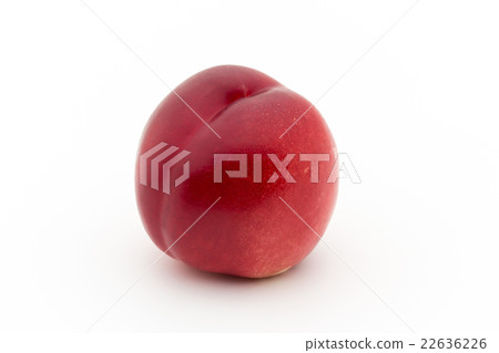 白油桃:白油桃 白油桃:白油桃 22636226