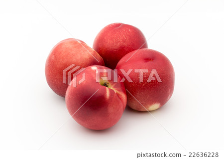 白油桃：白油桃 22636228