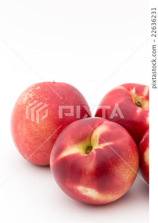 白油桃：白油桃 22636231