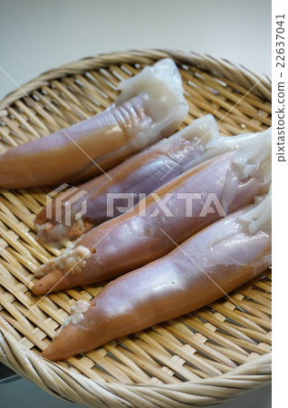 魷魚的肝臟 22637041