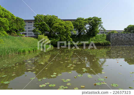 福岡城堡廢墟護城河和石垣法院 福岡城堡廢墟護城河和石垣法院 22637323