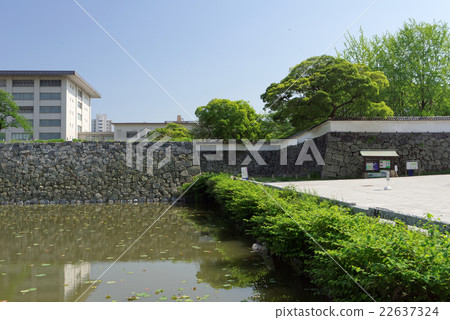 福岡城堡廢墟護城河和石牆 22637324