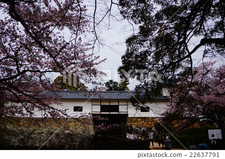 Hikone-jo Castle Tower Hikone-jo Castle Tower 22637791