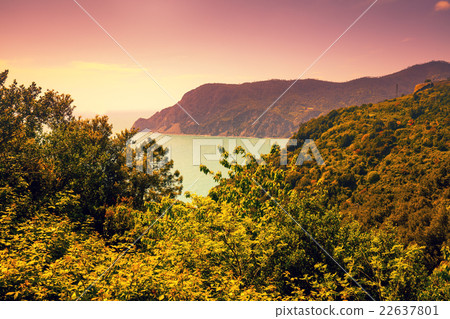 Rocky sea coast at sunset Rocky sea coast at sunset 22637801