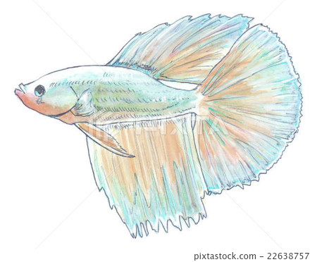Illustration of solid - Stock Illustration [22638757] - PIXTA