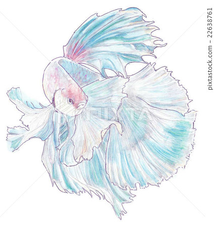 Illustration of solid 22638761