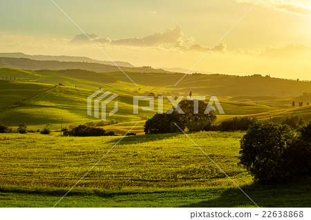 The beautiful colors of the spring in Tuscany The beautiful colors of the spring in Tuscany 22638868