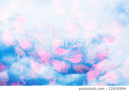 Storm clouds and flower petals. Computer collage 22638994