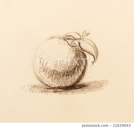 Color drawing of Fruit. Original hand draw and Color drawing of Fruit. Original hand draw and 22639043