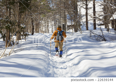 Snow trekking 22639144