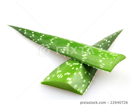 aloe vera aloe vera 22640726