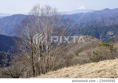 Daikekamba and Mt. Fuji in Takanosezan Distant view 22640898